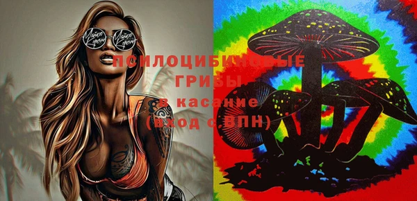 не бодяженный Каменка