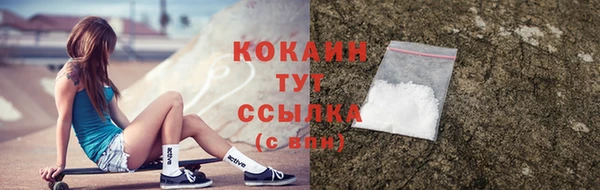 СК Каменногорск