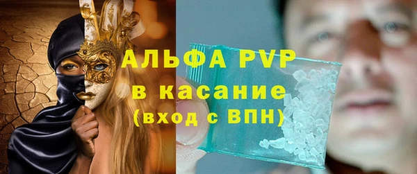 СК Каменногорск