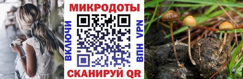 это телеграм  кракен рабочий сайт  Бердск  Галлюциногенные грибы мухоморы 
