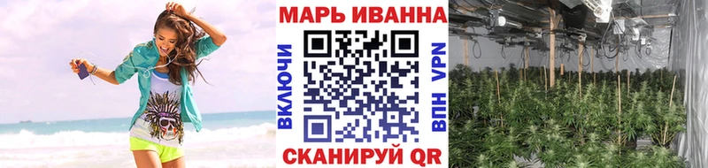 купить закладку  Бердск  darknet клад  Бошки Шишки гибрид  ссылка на мегу вход 